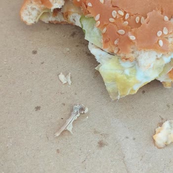 Tavuk Hamburgerde Kemik Çıkmasıyla Yaşanan Sağlık Riski