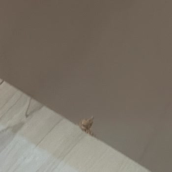 Kırık Dolap Kapağı Teslimatı Ve Çözülmeyen Servis Sorunu