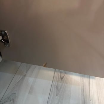 Kırık Dolap Kapağı Teslimatı Ve Çözülmeyen Servis Sorunu