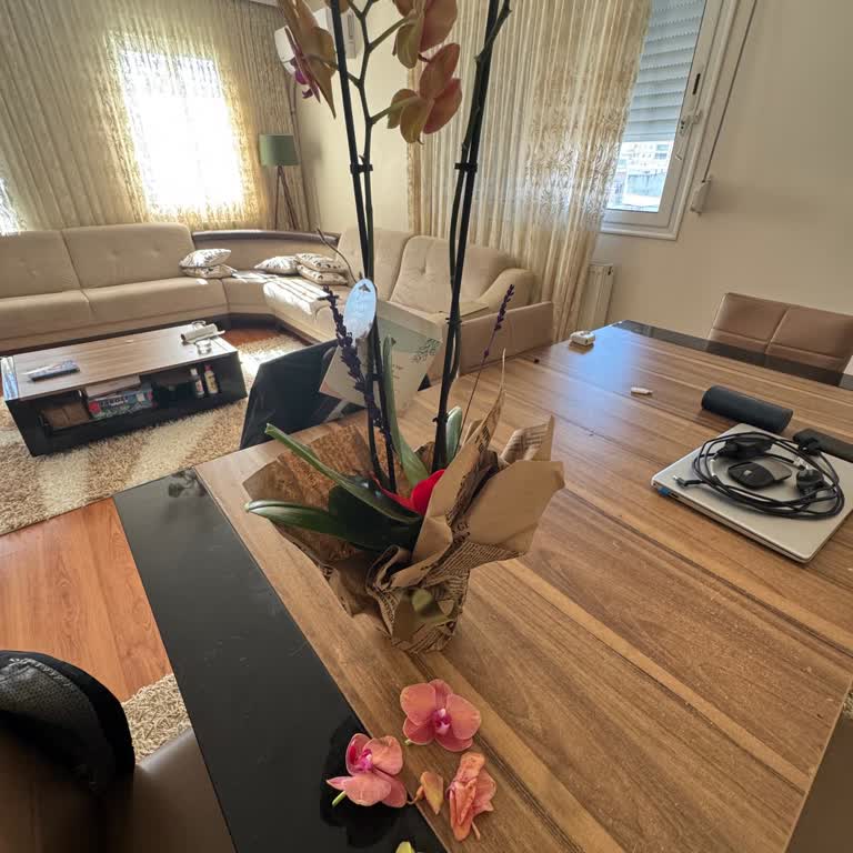 Solmuş Orkide Ve Yetersiz Müşteri Hizmeti: Para İadesi Talebim