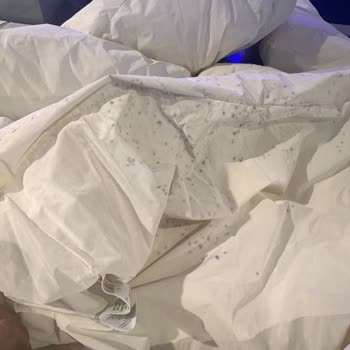 Küflenen Monta Çözüm Bulunmuyor: Mavi’den Değişim Bekliyorum