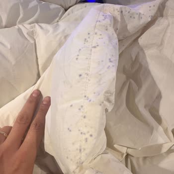 Küflenen Monta Çözüm Bulunmuyor: Mavi’den Değişim Bekliyorum