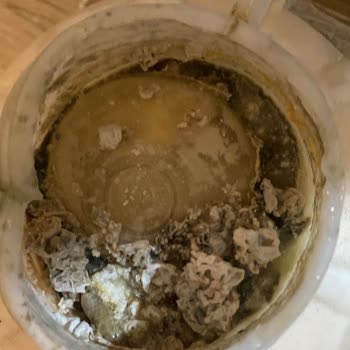 Güneydoğu Soğuk Hava Deposu Ürünlerimi Teslim Aldığımda Peynirlerim Bozulmuştu!