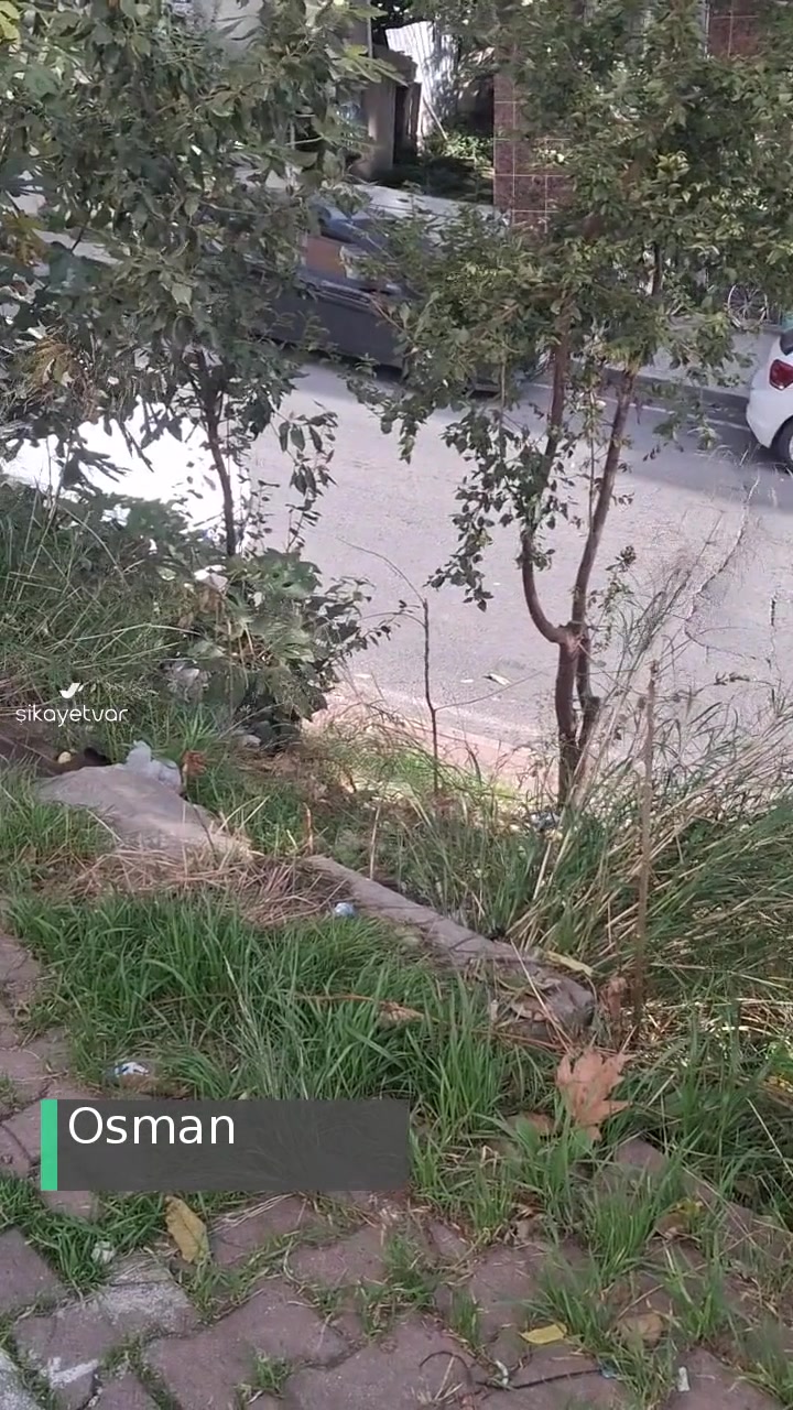 Gaziosmanpaşa Belediyesi 843 Sokak Çöp İçinde videonun kapak resmi