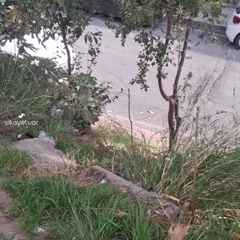 Gaziosmanpaşa Belediyesi 843 Sokak Çöp İçinde