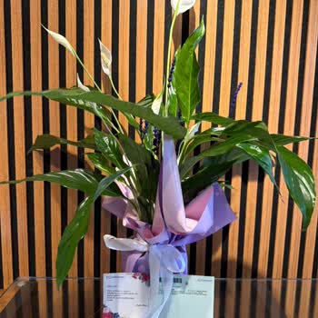 Onayladığım Çiçekten Farklı Ürün Gönderildi, Mağdur Edildim