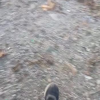 Dalaman Belediyesi Parkınız Çok Kirli