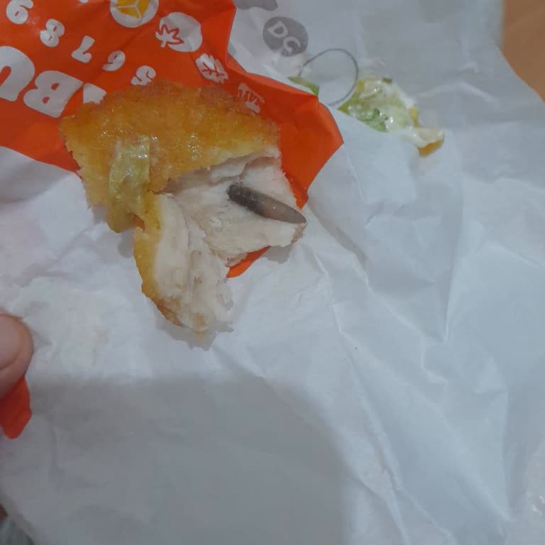 Burgerde Böcek Şoku: Hijyen Skandalı Ve İlgisiz Yaklaşım