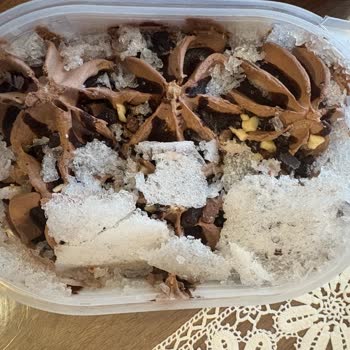 Çağdaş Marketler Bozuk Dondurma Satışı ve İletişim Eksikliği Mağduriyet Yarattı