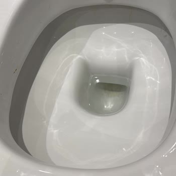 Eksik Temizlik Ve İlgisiz Müşteri Hizmeti Nedeniyle Mağduriyet