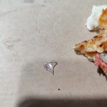 Pizzadan Çıkan Plastik Parça Nedeniyle Yaşanan Sağlık Riski Endişesi
