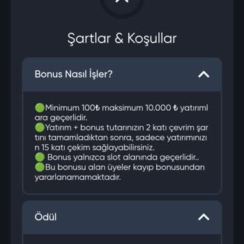 Baywin Süre Bilgisi Olmayan Bonustan 33.000 TL Kaybettim, Güvenim Sarsıldı!