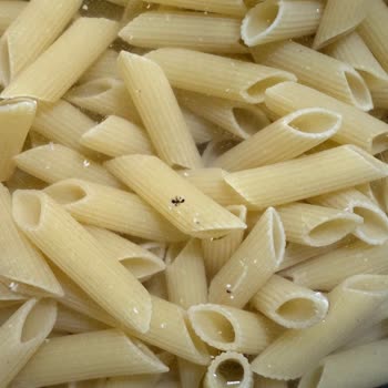 Filiz Makarna Aldığım Makarnadan Böcek Ve Kurt Çıktı, Mağduriyetimin Giderilmesini İstiyorum