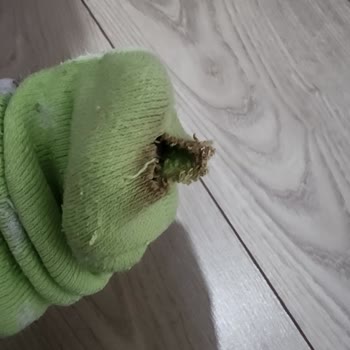 SEG Çamaşır Makinesi Sürekli Leke Ve Yırtılma Sorunu, Servisten Çözüm Alınamıyor