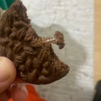 Bisküvi İçinden Yabancı Madde Çıkması Nedeniyle Mağduriyet Ve İade Talebi