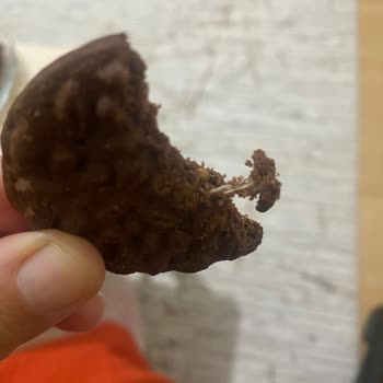 Bisküvi İçinden Yabancı Madde Çıkması Nedeniyle Mağduriyet Ve İade Talebi