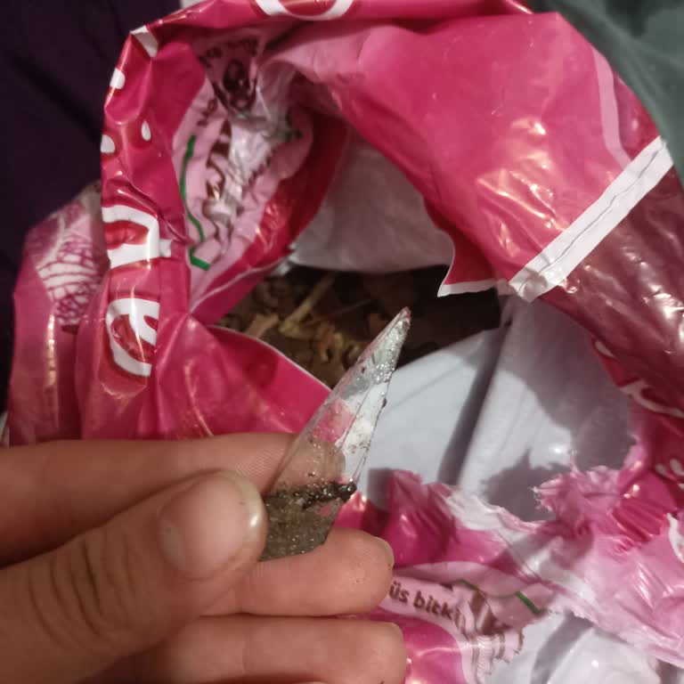 Orkide Toprağında Cam Parçası Buldum Güvenim Sarsıldı