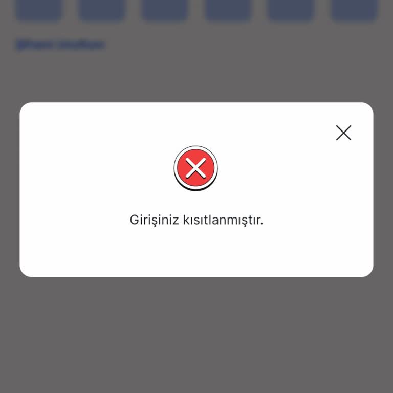 İyzico Hesabıma Giriş Yapamıyor Ve Bakiyeme Ulaşamıyorum