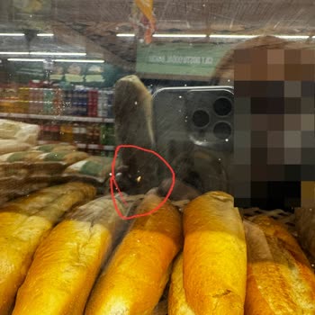 Ekmek Dolabında Böcekler: Tarım Kredi Market’te Hijyen Endişesi