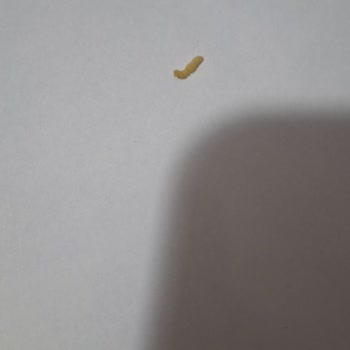 Aldığım Makarnadan Kurt Çıktı, Son Kullanma Tarihi Geçmemişti