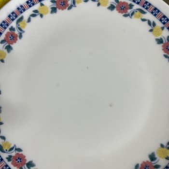 Yeni Alınan Bosch Bulaşık Makinesi Kısa Sürede Arızalandı