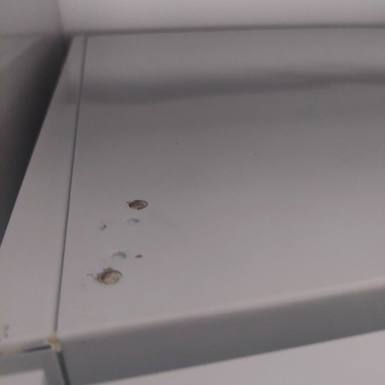 Profilo Buzdolabında Teslimat Sonrası Deformasyon Ve Çözüm Eksikliği