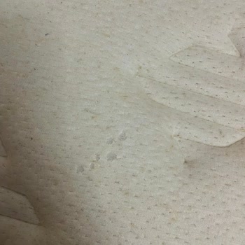 Yeni Aldığım Yatakta İki Ayda Oluşan Delinmeler Ve Çözüm Bekleyişi