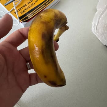 Deniz Ticaret Buzdolabımın Arızası Ve Maddi Zararım İçin Acil Çözüm Bekliyorum