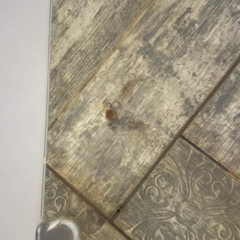 Grand Maraş Termal Otel Birçok Sorunla Karşılaştık