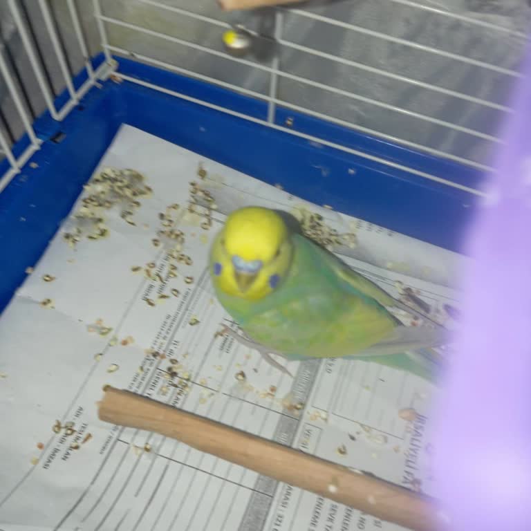 Satın Alınan Vitrin Ve Öne Çıkarma Hizmeti Aktif Edilmedi, İletişim Kurulamıyor