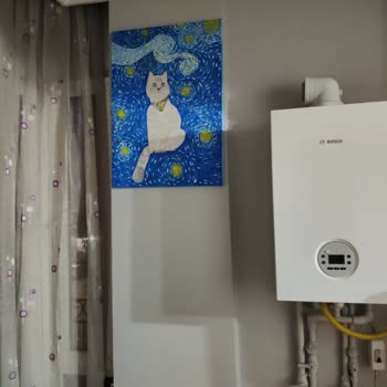 Doğalgaz Açımı Kombi Bacası Eksikliği Nedeniyle Gecikti, Mağduriyetimin Giderilmesini İstiyorum