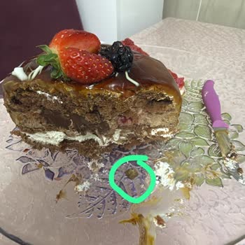 Pastadan Çıkan Taş Ve İlgisiz Müşteri Hizmetleriyle Yaşadığım Hayal Kırıklığı