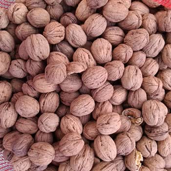 Aldığım Cevizlerin Çürük Çıkması Ve Satıcının İade Taleplerime Olumsuz Yaklaşımı