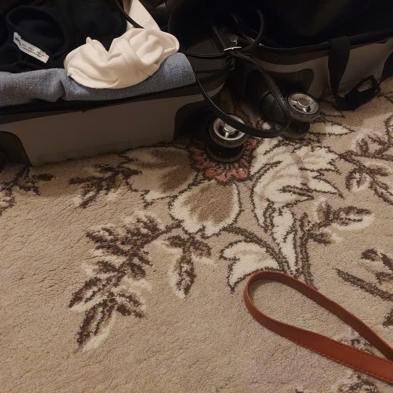 Pegasus Uçuşunda Yeni Valizimin Tekeri Kırıldı Mağduriyetimin Giderilmesini İstiyorum