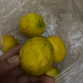 Bozuk Ve Çürük Ürünler İle Teslimat Mağduriyeti Yaşadım