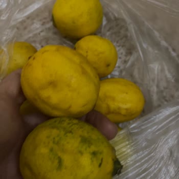 Bozuk Ve Çürük Ürünler İle Teslimat Mağduriyeti Yaşadım