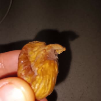 A101'den Alınan Kuru İncir Paketinde Kurtlanma Sorunu Ve Denetim Eksikliği