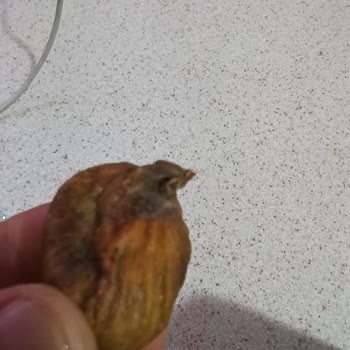 A101'den Alınan Kuru İncir Paketinde Kurtlanma Sorunu Ve Denetim Eksikliği