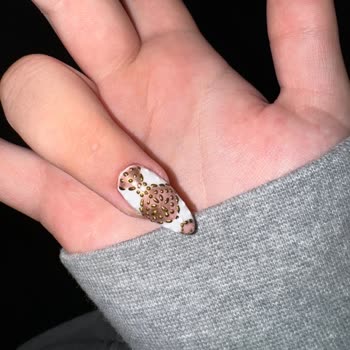 Beklentilerimi Karşılamayan Nail Art Ve İlgisiz Hizmet Deneyimi