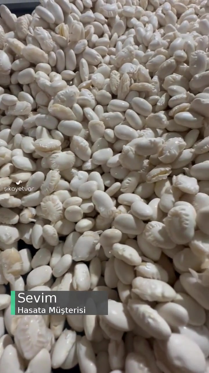 Hasata Kuru Fasulyenin Hali! videonun kapak resmi