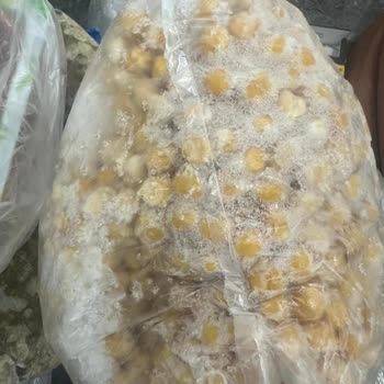 Beko Buzdolabında Sürekli Kar Yapma Sorunu Ve Çözülmeyen Mağduriyet