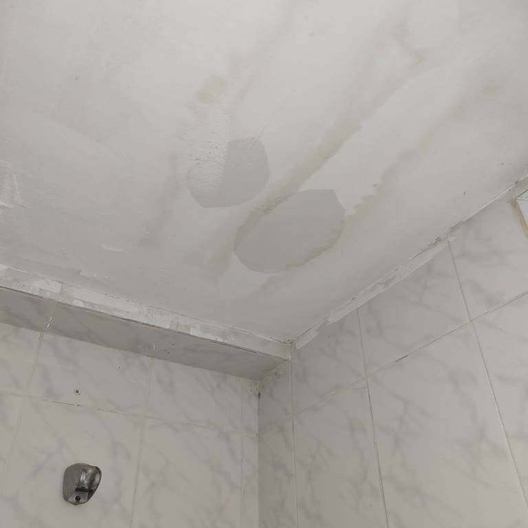 Banyodaki Su Kaçağı 10 Gündür Giderilmiyor Mağduriyetim Artıyor