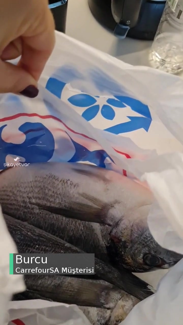 Carrefour SA Temizlenmeyen Balık Mağduriyeti videonun kapak resmi