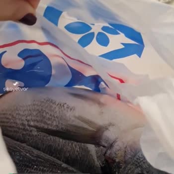 Carrefour SA Temizlenmeyen Balık Mağduriyeti