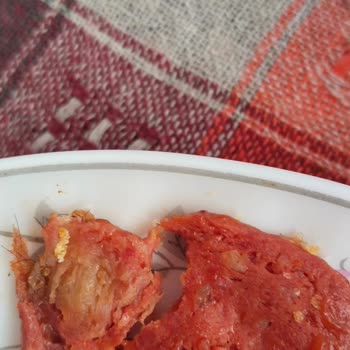 Aldığım Üründen Kıl Çıkması Nedeniyle Yaşadığım Hayal Kırıklığı