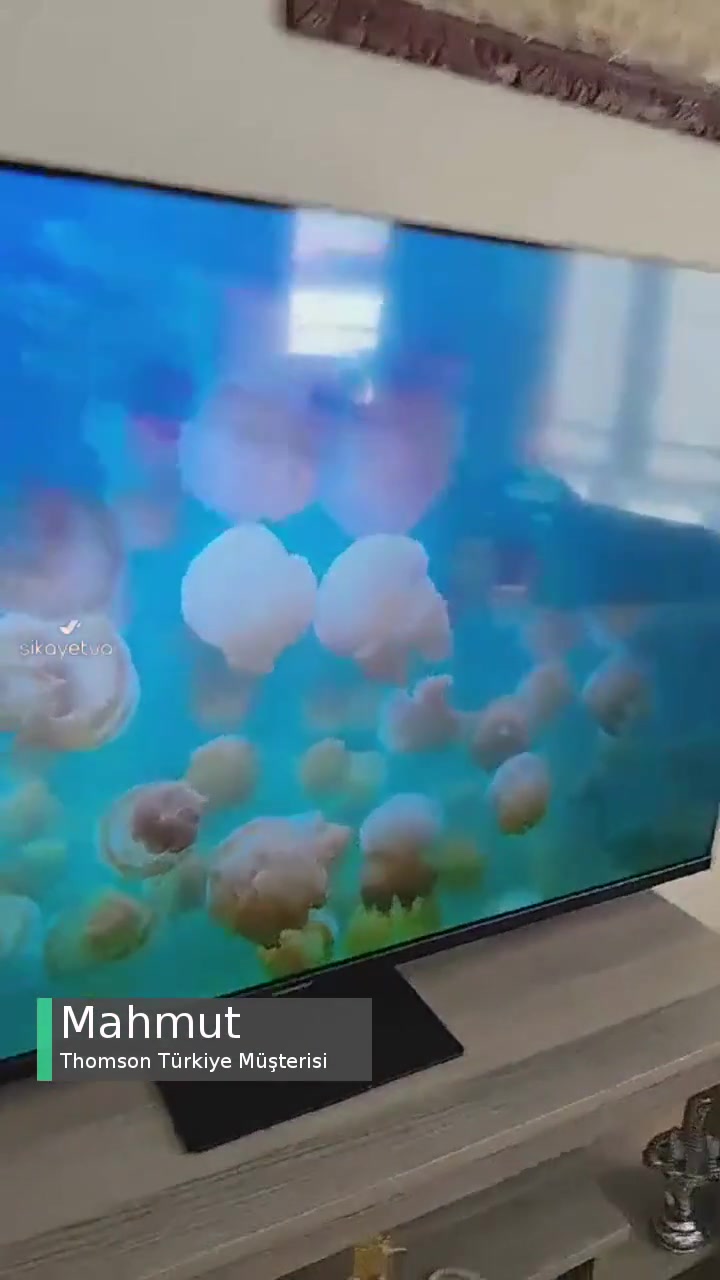 Thomson Türkiye Uydu Çalışmıyor, Anten Yeri Sallanıyor videonun kapak resmi