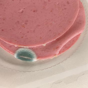 Namet Son Kullanma Tarihi Geçmemiş Salam Bozuk Çıktı, Çözüm Bekliyorum