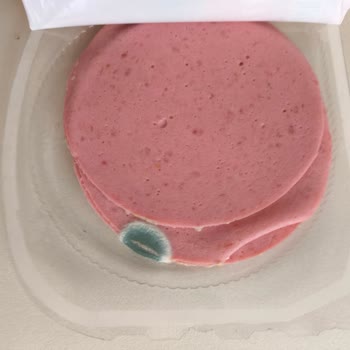 Namet Son Kullanma Tarihi Geçmemiş Salam Bozuk Çıktı, Çözüm Bekliyorum