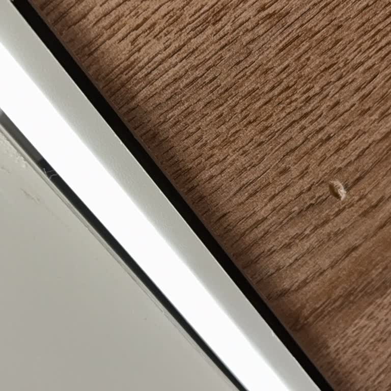 Teslim Edilen TV Ünitesinde Hasar Var, Müşteri Hizmetlerine Ulaşamıyorum