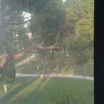 Otelin Kayyum Süreci Ve Hizmet Kalitesizliği Nedeniyle Yaşadığım Mağduriyet
